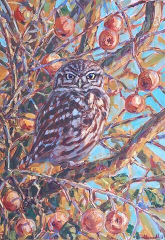 Dawn Little Owl and Crab Apples