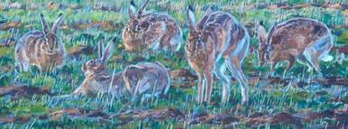 Twilight Hares