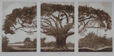 183 - The Saman Tree