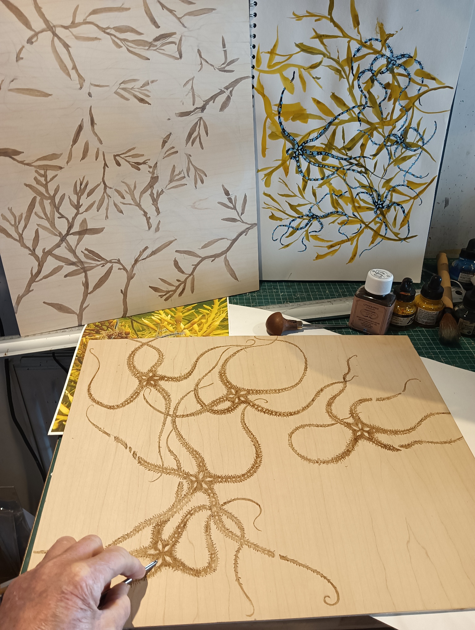 6  Working on a Mokulito plate  Brittlestars Hope Spot (new work) jpg