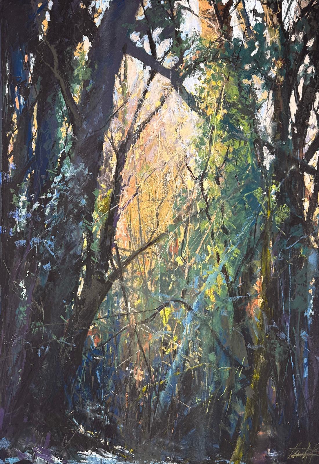 Findlater_Trish_The Listening Trees jpeg