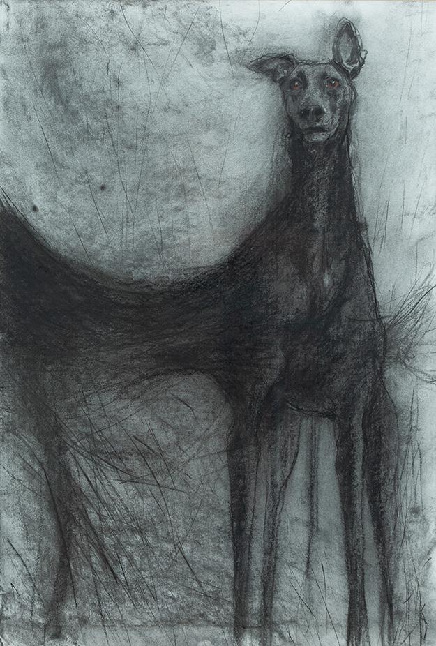 Nunn_Nicholas_Windhund jpg