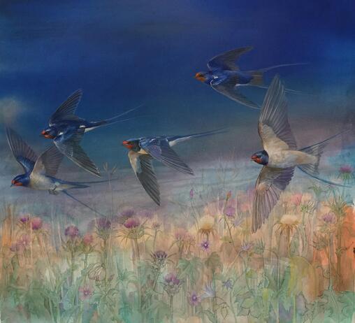 Faull Emma Evening Swallows jpg