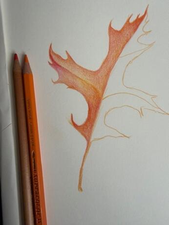 Harriet Brigdale jpg