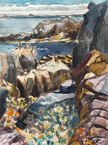 Hughes Nye Rock formations with Auks Isle of May jpeg