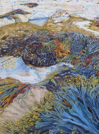 North_Ann_Pools of bladderwrack jpg