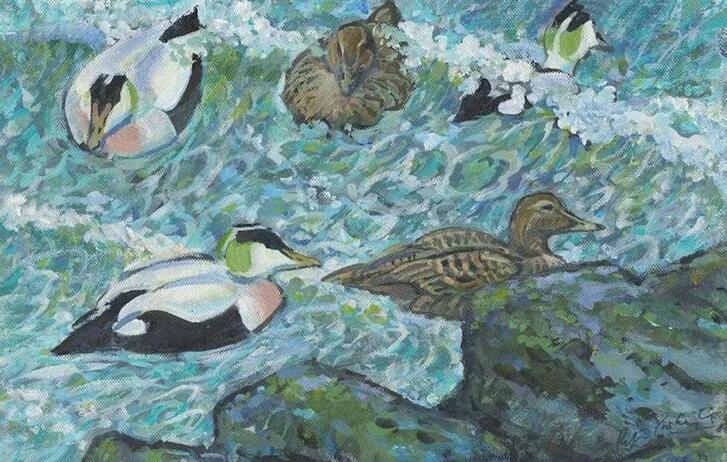 Peter Partington Ducks swirling water jpg