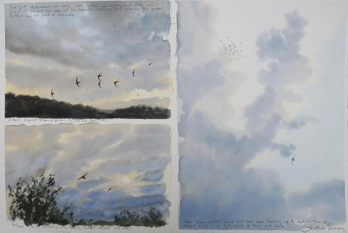 Pomroy Jonathan Swifts and skies Midsummer’s eve 2025 jpeg