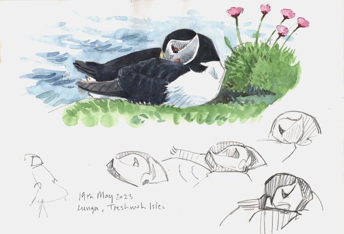 Richard Allen May 2023 Puffin Lunga jpg