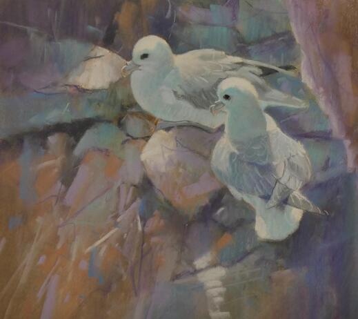 Threlfall John Fulmars jpg