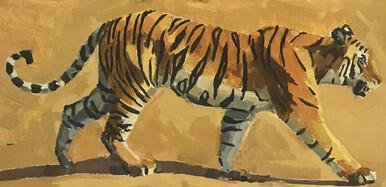 Kahna Tiger