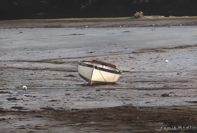 Between Tides