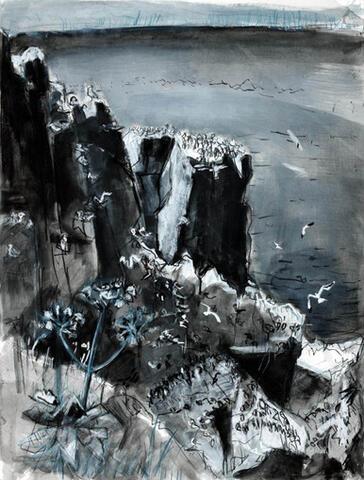 Seabird cliff V