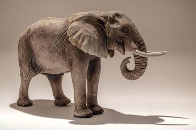 Bachelor Elephant (trunk down)