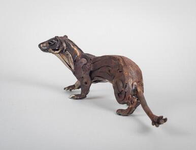 206 - Drill tailed Stoat