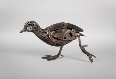 208 - Shear Coot