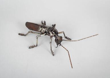 Snip Soldier Beetle