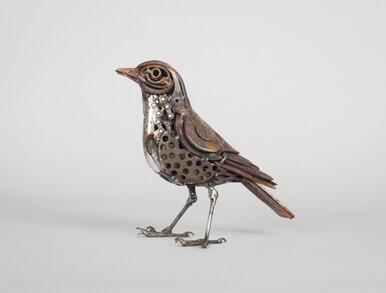 211 - Potato masher Song Thrush