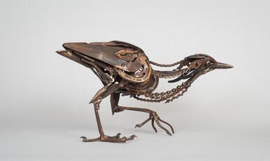 212 - Scissor billed Bittern