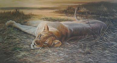 Masai Mara lioness