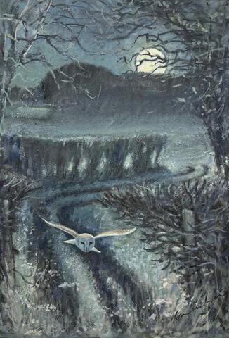 In Memoriam - Barn Owl moon