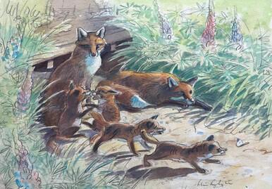 In Memoriam - Foxes with cubs