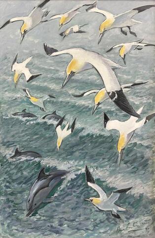 In Memoriam - Gannets with Dolphins