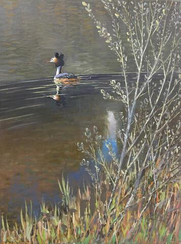 In Memoriam - Great crested Grebe