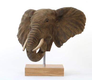 African Elephant bust