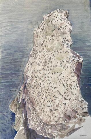 248 - The Cleaver, St Abbs