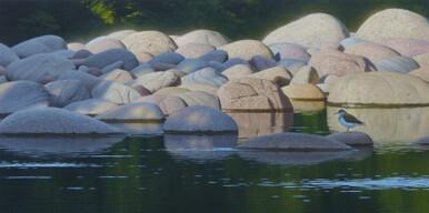 272 - Findhorn river evening