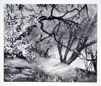 120 - About the Light