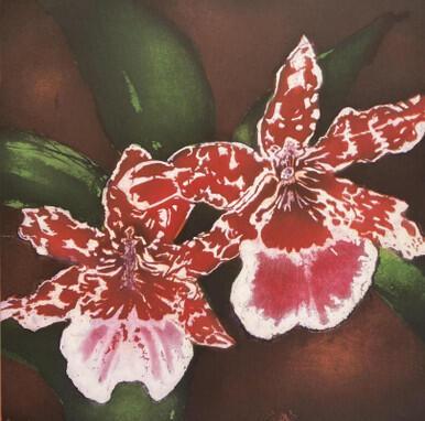 332 - O is for Orchid