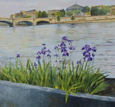 307 - Irises Paris