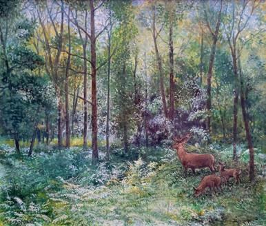 129 - Meadows Wood, Skelwith