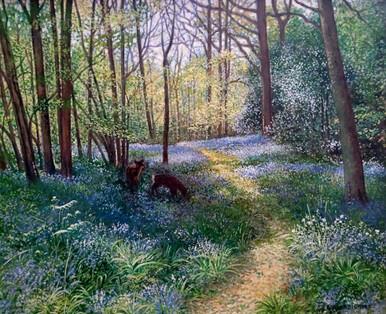 127 - Amongst the Bluebells