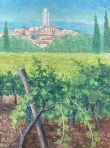 189 - Vineyards at Caux, Languedoc