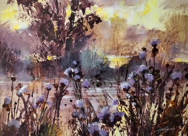 148 - River Mist and Thistles