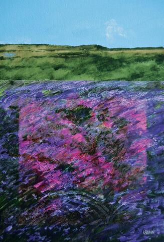 213 - North York Moors near Whitby