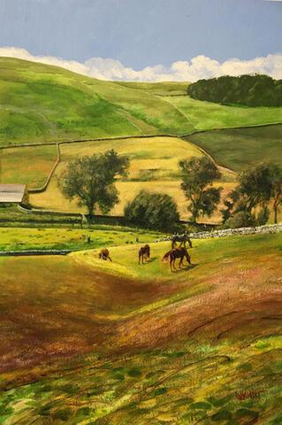 215 - Yorkshire Dales near Hawes