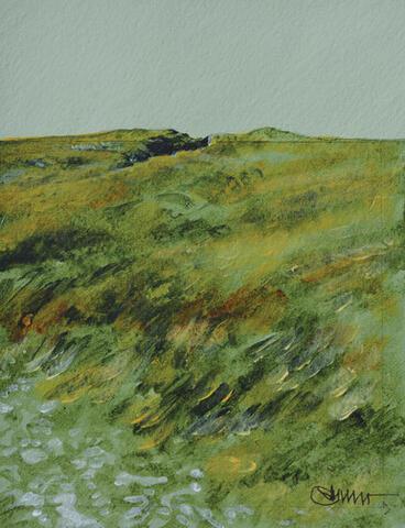 216 - Yorkshire Moorland near Skipton