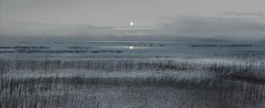 421 - Marsh Moon