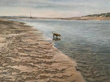 346 - Estuary and Dog
