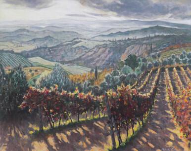 110 - Vines in Autumn near Marcialla, Tuscany