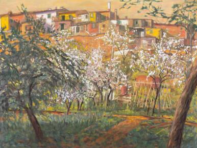 109 - Marcialla Houses from the Vegetable Plots, Tuscany