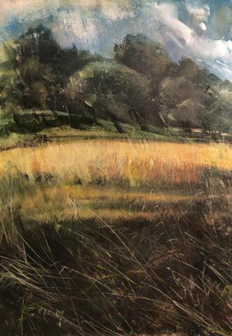 067 - Late Summer Glade in the Val d’Orcia