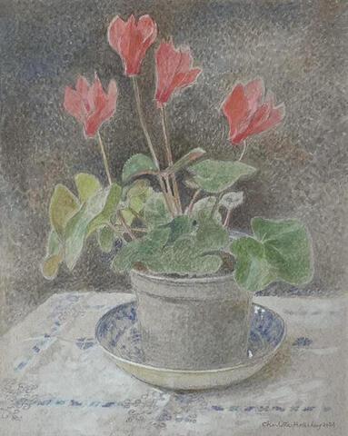 153 - The Red Cyclamen