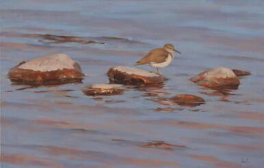 052 - Rocks in the shallows