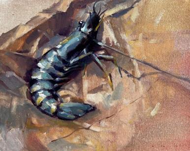 125 - Tiger Prawn