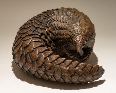 193 - Pangolin